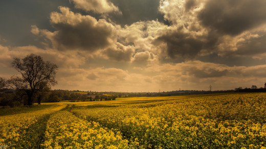 771096 (a): :2048x1152